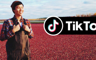 Ocean Spray and TikTok: The Gift of a Marketing Moment